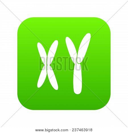 Human Chromosomes Icon Digital Green For Any Design Isolated On White Vector Illustration