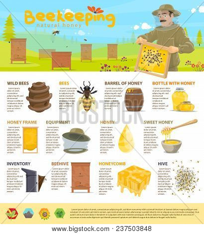 Beekeeping And Honey Production Or Apiary Infographic Poster Template. Vector Design Of Diagrams And