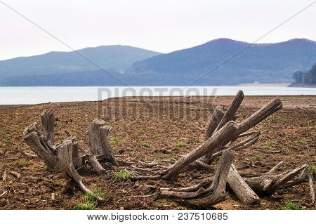 View Of The Vladivostok City Reservoir Of Lake Sedanka. Far Eastern Landscape.