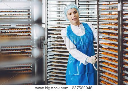 Fish Seafood Factory Industry Production Processing Equipment