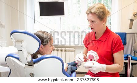 Dentist Showing On Teeth Model How To Properly Clean Teeth