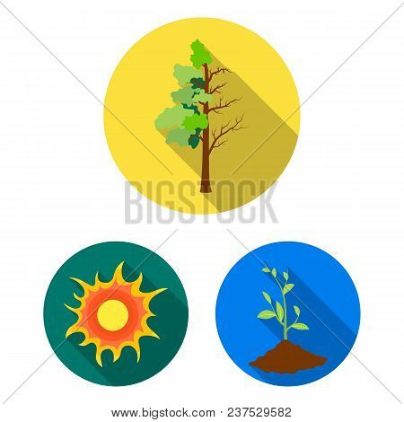 Bio And Ecology Flat Icons In Set Collection For Design. An Ecologically Pure Product Vector Symbol 