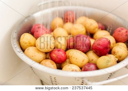 Small Potatoes
