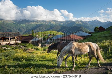 Horses In A Mountain Village At Sunset. Georgian Village Omalo At The Background. Sun Lightens Horse
