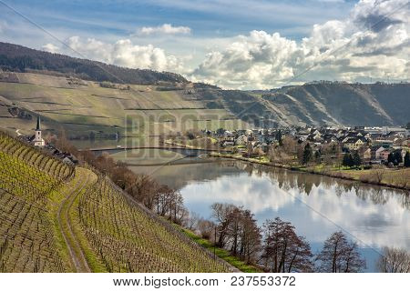 Moselle Landscape At Piesport Vineyards Spring Landscape