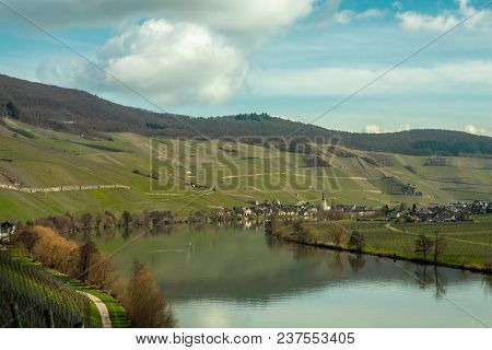 Moselle Landscape At Piesport Vineyards Spring Landscape