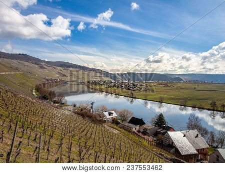 Moselle Landscape At Piesport Vineyards Spring Landscape