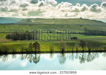 Moselle Landscape At Piesport Vineyards Spring Landscape