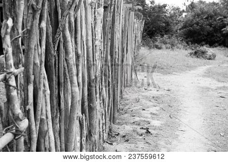 Palisade Or Fence In Countryside On Natural Background In Boca De Valeria, Brazil. Poverty, Construc