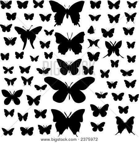 Vlinder silhouetten