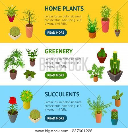 Green Plants In Pot Banner Horizontal Set 3d Isometric View Element Decoration Interior For Home, Sh