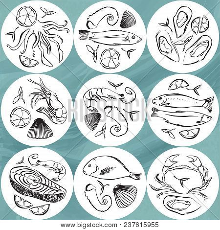 Set Of Seafood Circle Design Element. Marine Life Animals Plates. Hand Drawn Vector Illustration. Be