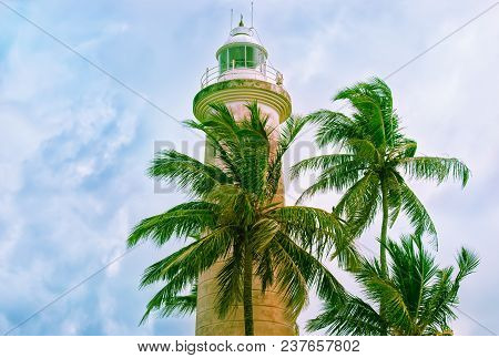 White Lighthouse And Tropical Palms, Fort Galle, Sri Lanka.