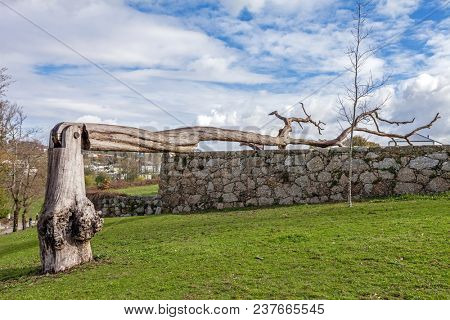 Vila Nova de Famalicao, Portugal - March 31, 2018: Urban art made of a dead tree with a hinge in Parque da Devesa Urban Park.
