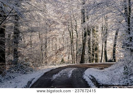 The Freiburger Wasserschlössle Is Located In The Sternwald Above The District Wiehre. It Is A Water 