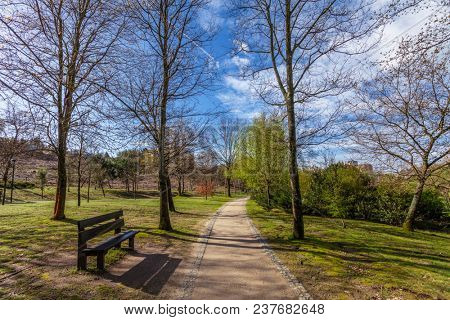 Garden or park bench near an empty dirt path, track, trail or pathway through the trees and green grass lawn in Parque da Devesa Urban Park. Vila Nova de Famalicao, Portugal