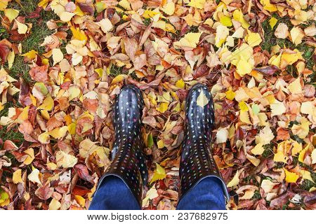 Person in rainboots standing in fall leaves