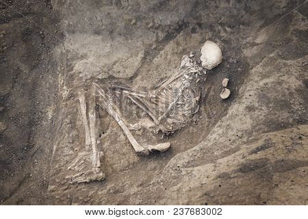 Archaeological Excavations And Finds (bones Of A Skeleton In A Human Burial),   A Detail Of Ancient 