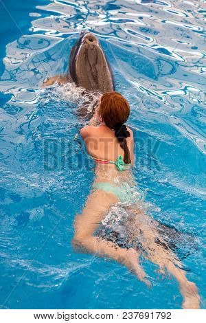 Young Happy Girl Swimming With Dolphin