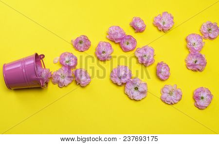 Scattered Pink Buds Of Almond Trilobate From A Small Metal Bucket On A Yellow Background