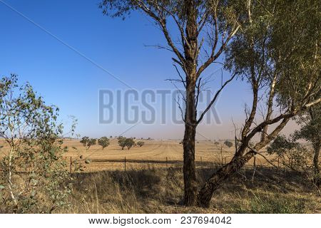 Dust Storm In The Far Distance Approaching Over The Agricultural Fields Between Wagga Wagga And Temo