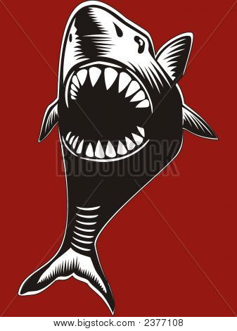 Requin