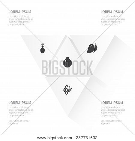 Icon Food Set Of Bromeliads, Fleshy, Antioxidant And Other Vector Objects. Also Includes Nutrition, 
