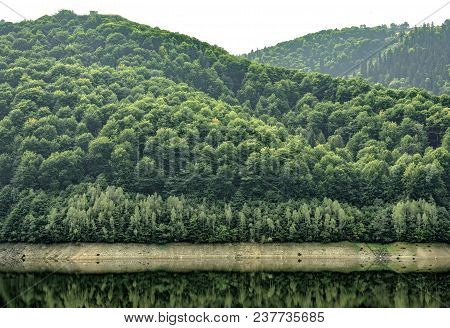 Daylight Misty View To Mountains Full Of Green Trees