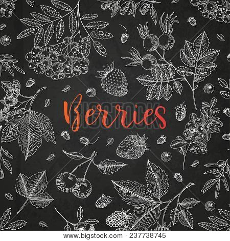 Vector Illustration Frame With Currant, Cranberry, Bluberry, Cherry, Raspberry, Strawberry And Etc. 