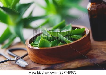 aloe vera on dark background - alternative medicine