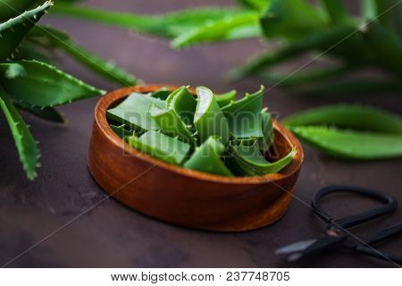 aloe vera on dark background - alternative medicine