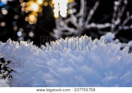 Snow On The Pine Branch Making Beautiful Texture With Sun Rasy Background