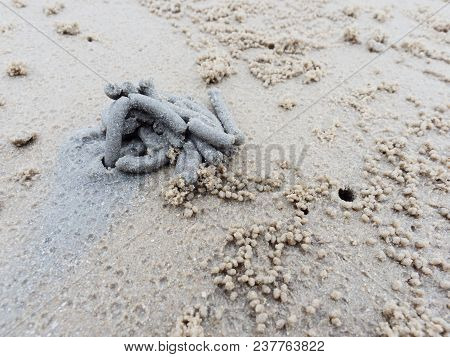 Abstract Shape Of Swirl Of Sand And Mud On The Beach Cast By Lug Or Sand Worms With Sediment Balls O
