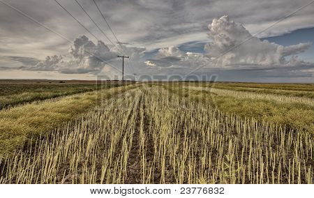 Sänki kenttä ja Prarie myrsky