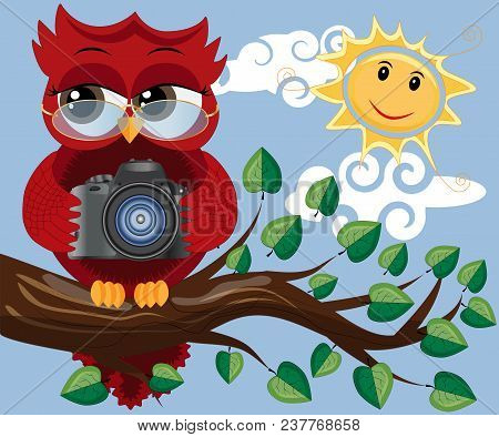A Red Sweet Owl With Glasses And A Camera Sits On A Tree Branch On A Clear Sunny Day. Photo Business
