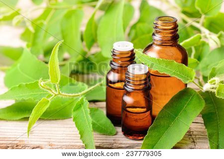 Eucalyptus Essential Oil And Fresh Eucalyptus Leaves On The Wooden Board