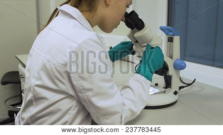 Doctor Woman Working A Microscope. Female Scientist Looking Through A Microscope In Lab. Student Gir