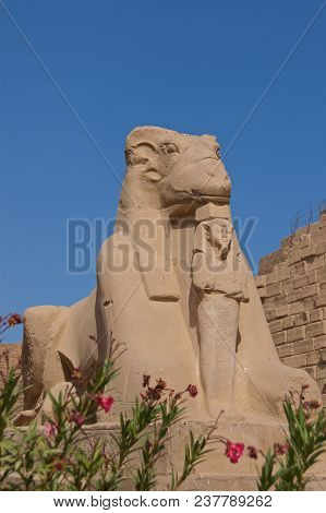 Statue Of Ram-headed Sphinx With King Ramesses Ii In Karnak Temple In Luxor, Egypt