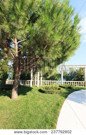 Beautiful Park With Track  In Suumer Day  - Garden Design - Landscape Background