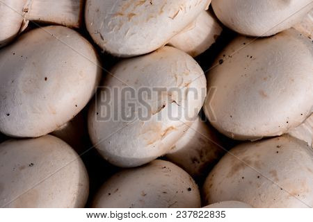 Photo Picture Of  Fresh White Mushroom Food Texture Background