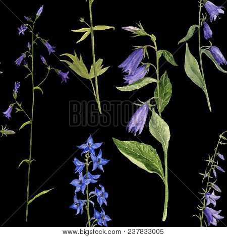 Seamless Pattern With Watercolor Drawing Palnts And Flowers At Black Background, Hand Drawn Illustra