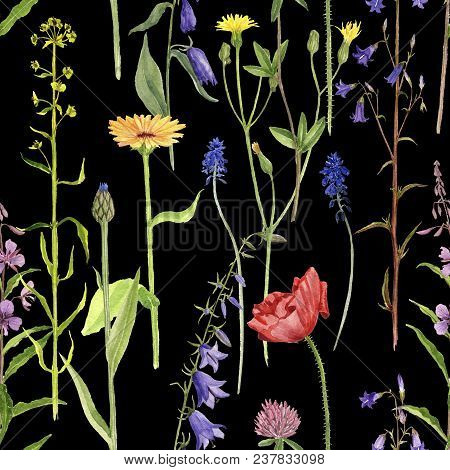 Seamless Pattern With Watercolor Drawing Palnts And Flowers At Black Background, Hand Drawn Illustra