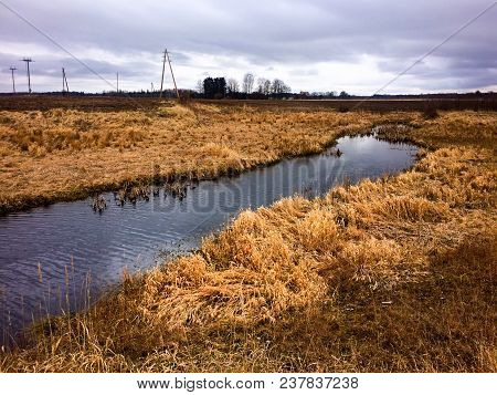 Rivulet In Latvia, Riversides With High Grass, Gloomy Weather