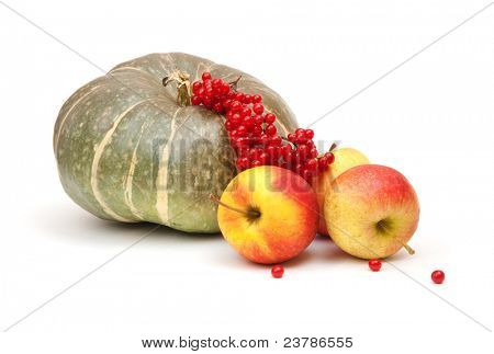 zucca verde, mele gustose e arrowwood rosso