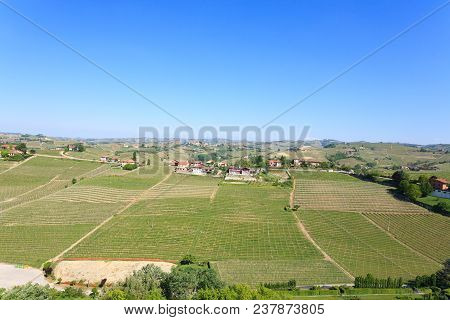 Beautiful Italian Landscape. Vineyards From Langhe Region,italy Agriculture. Unesco World Heritage S