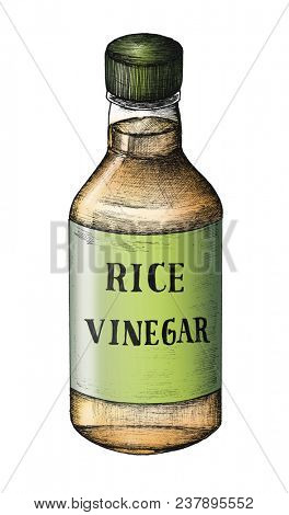 Hand drawn komezu rice vinegar