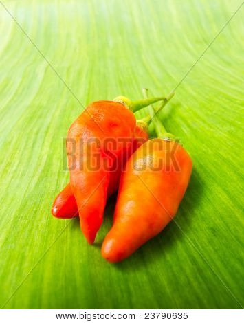 Hot Peppers