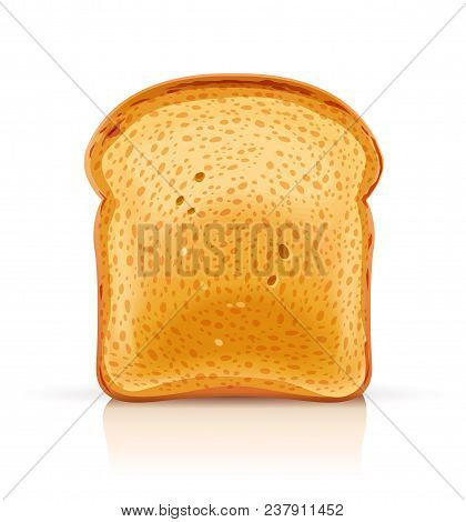 Bread Toast For Sandwich Piece Of Roasted Crouton. Lunch, Dinner, Breakfast Snack. Isolated White Ba