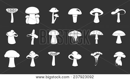Mushroom Icon Set Vector White Isolated On Grey Background