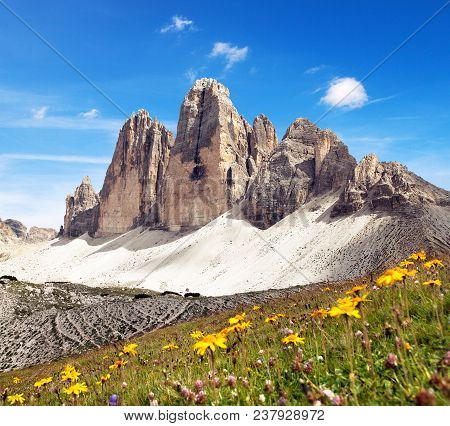 Drei Zinnen Or Tre Cime Di Lavaredo With Beautiful Flowering Meadow, Sextener Dolomiten Or Dolomiti 